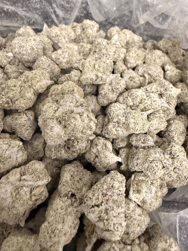 Flower: Project Z Ice THC: 65%+ 1 Oz HYBRID