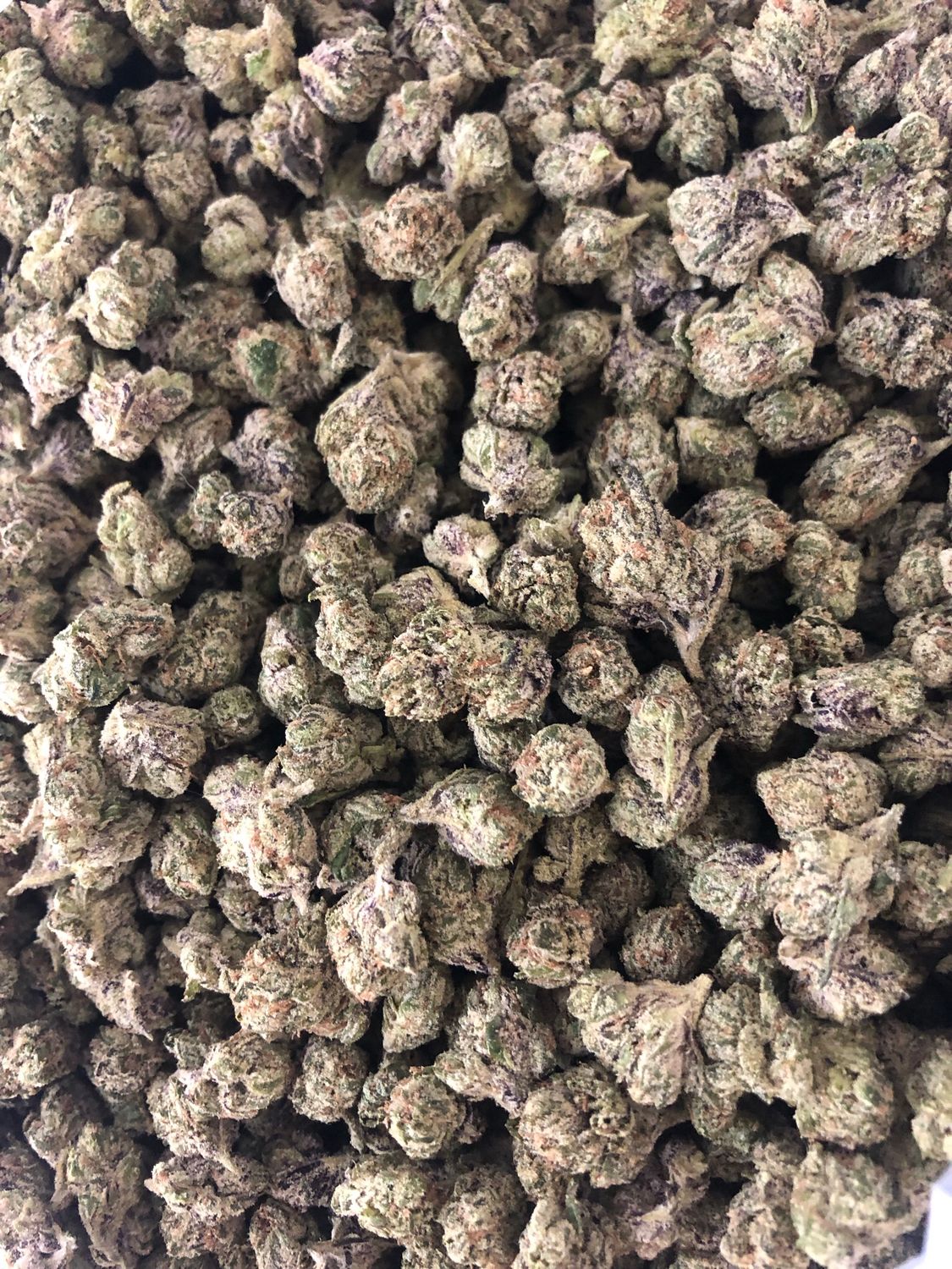 Flower: Mohan RAM THC: 25% 0.5 Oz INDICA
