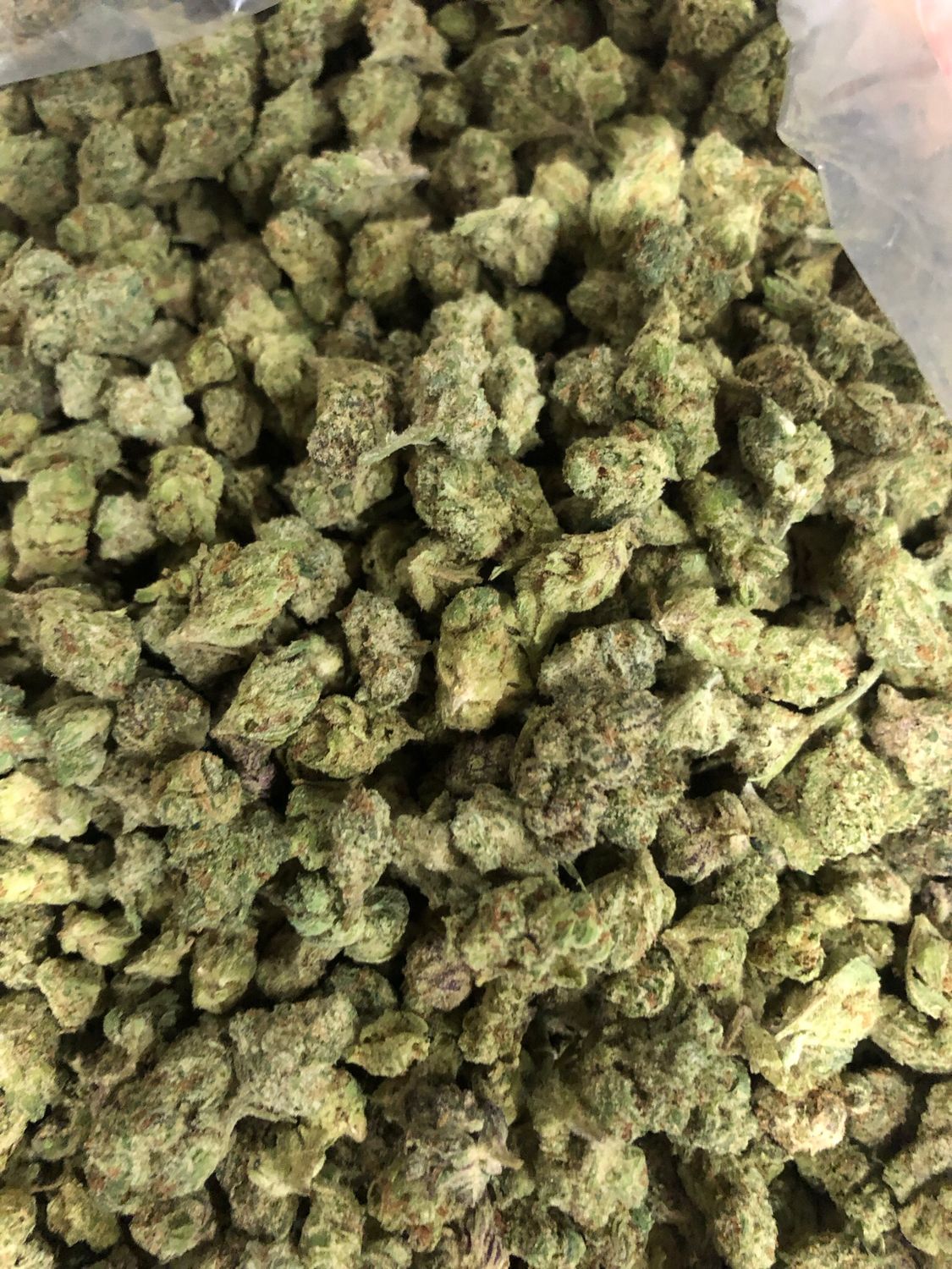 Flower: NightCap THC: 24% 3.5g INDICA