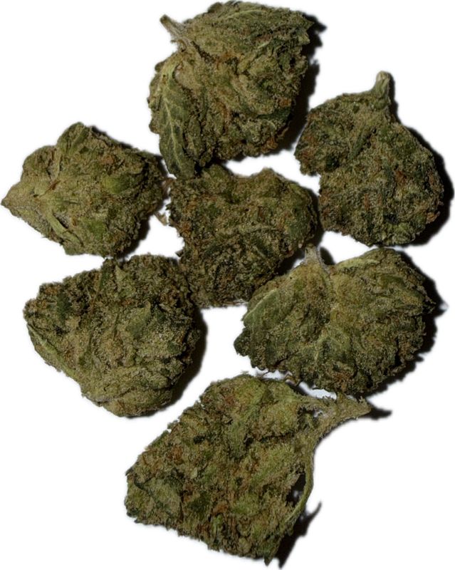 Flower: Candy Mob (smalls) 3.5g SATIVA