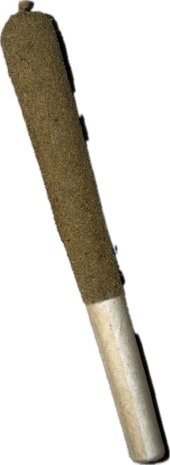 1gram INFUSED Pre-Roll - Gelato Mintz HYBRID