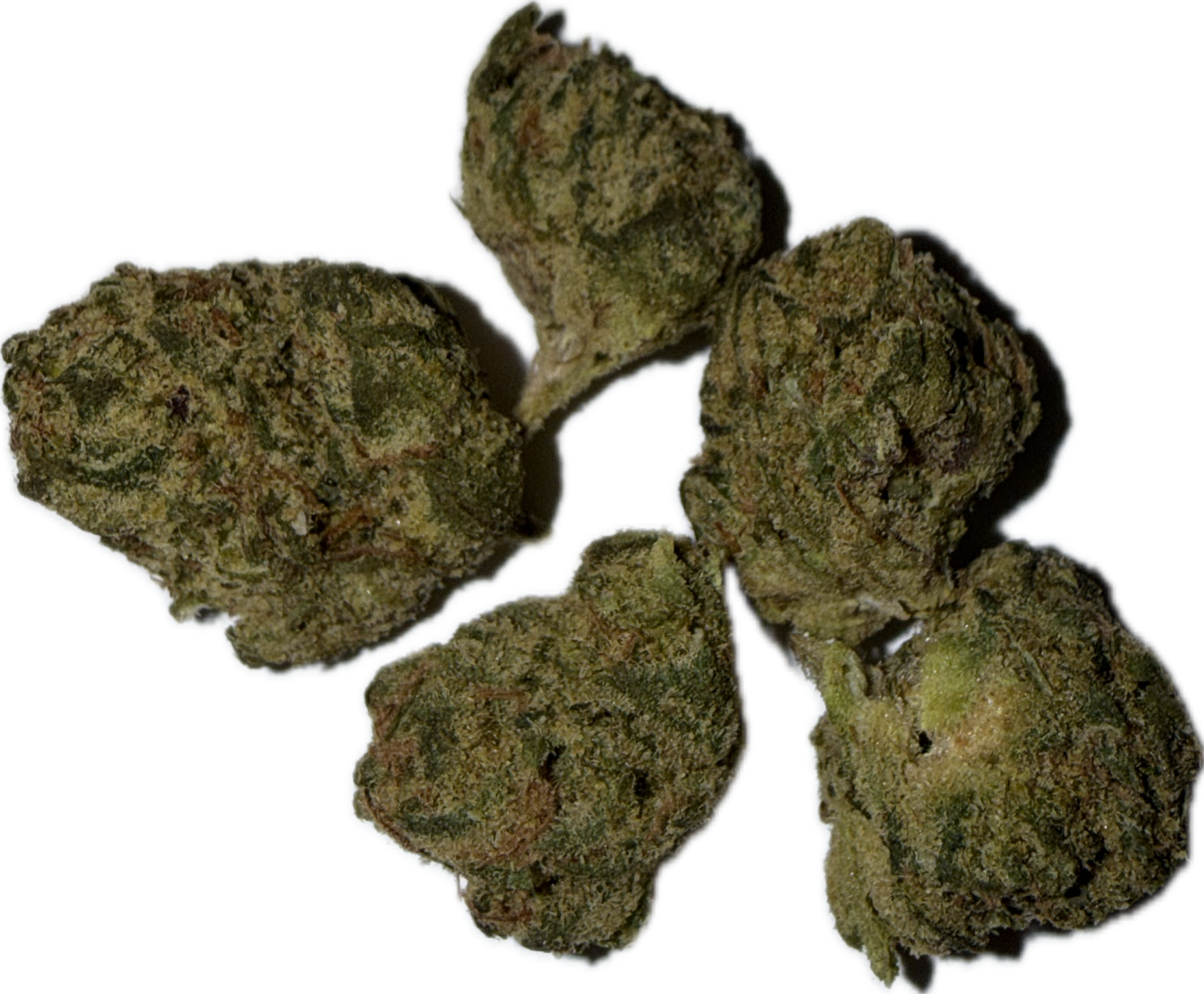 Flower: Gelato 33 (smalls) 3.5g HYBRID