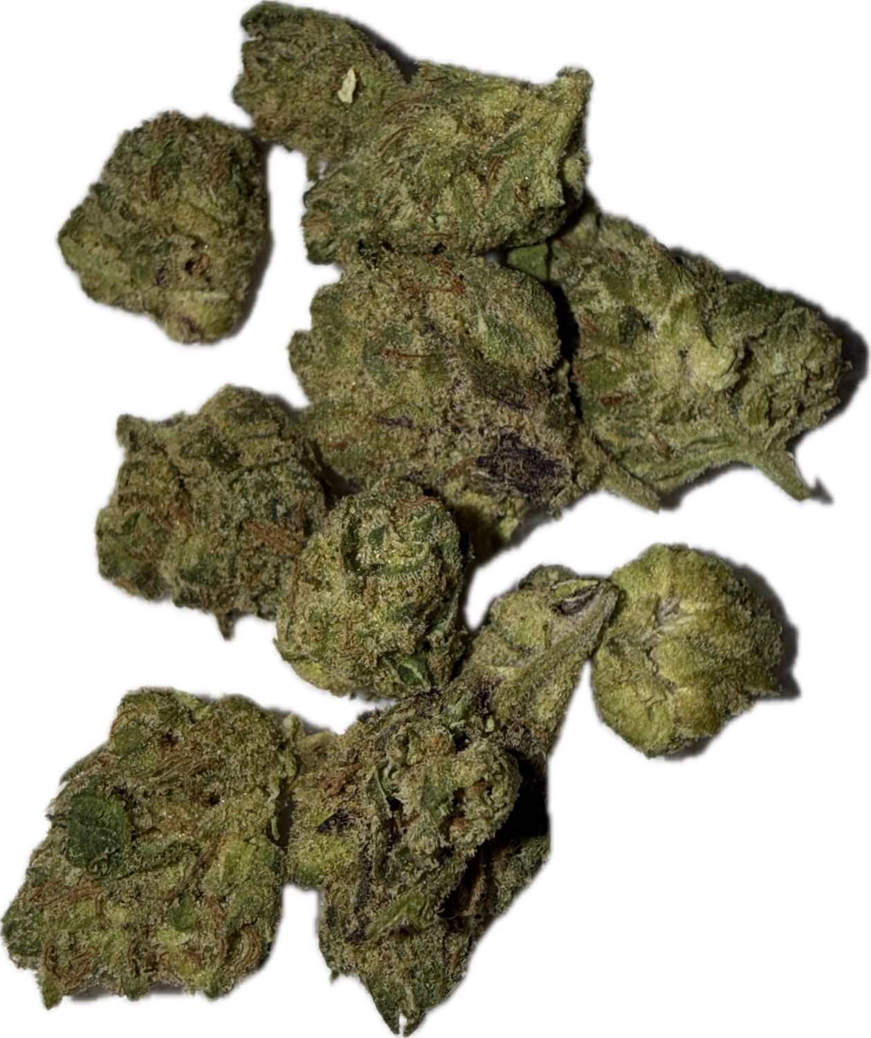 Flower: Bitters (smalls) 3.5g SATIVA