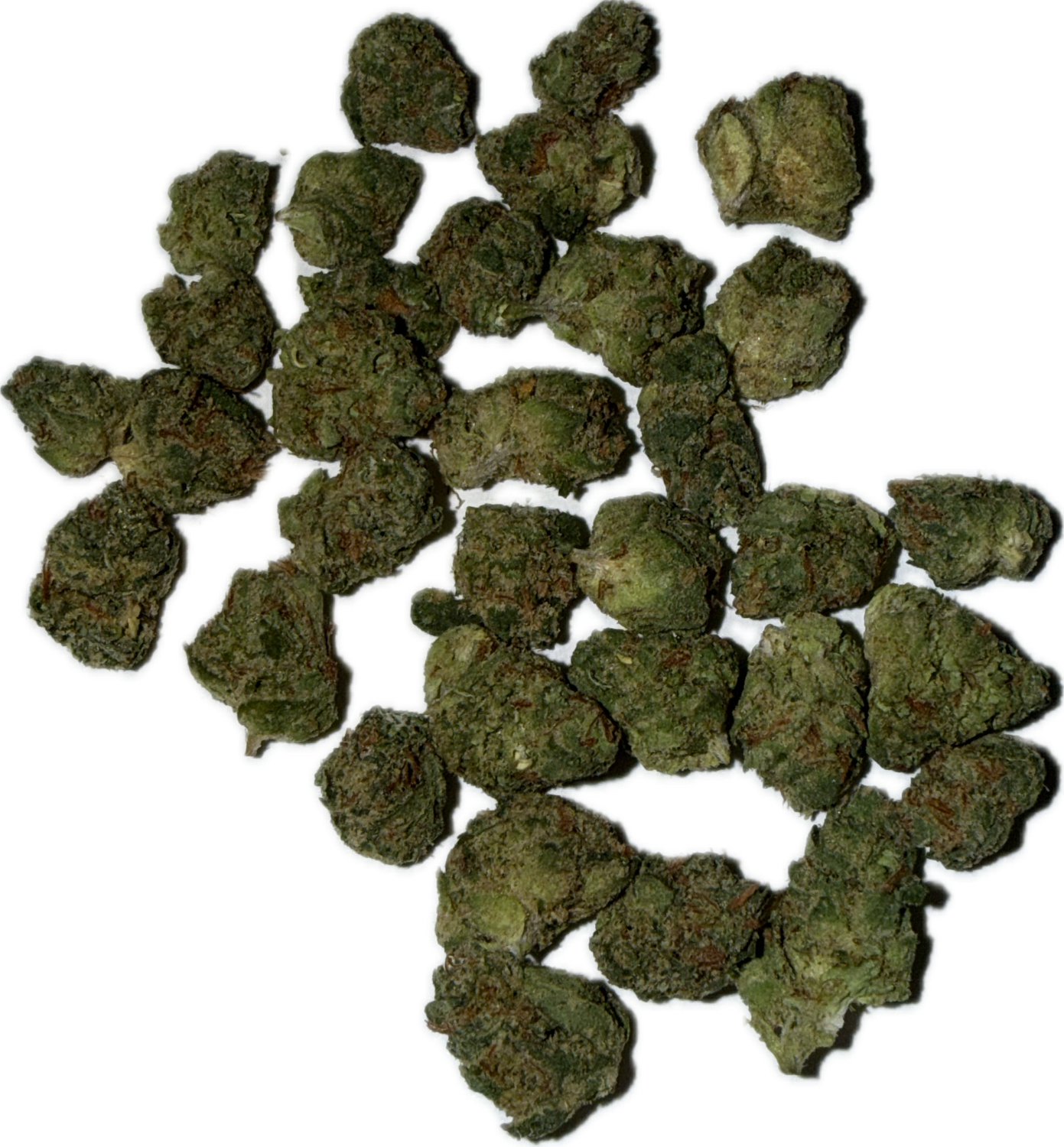 Flower: Black Garlic (micros) 1 Ounce INDICA (SPECIAL)