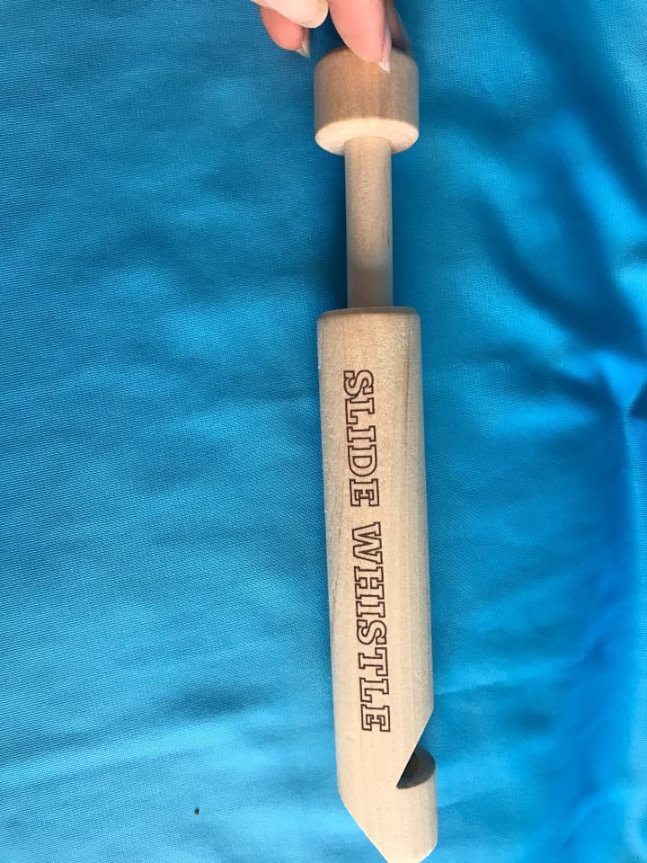Slide Whistle