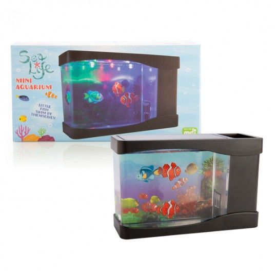 Mini Aquarium Fish