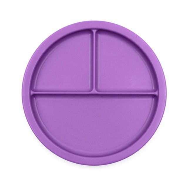 Ark's Divided Plate (PURPLE)