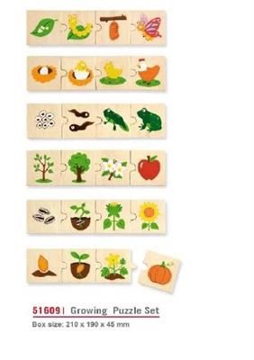 Growing Puzzle Set