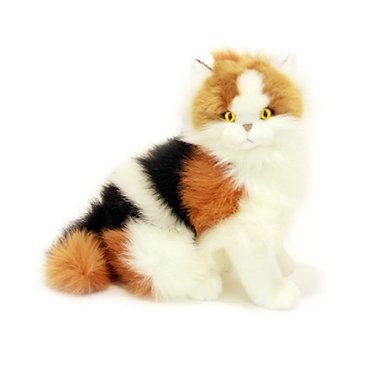Weighted Celia The Cat