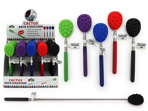 Back Scratcher Cactus