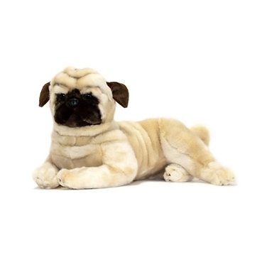 Weighted Boris the Pug