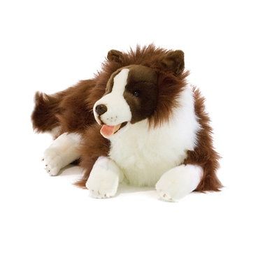 Weighted Fudge the Red Border Collie