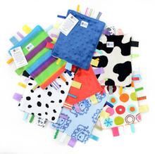 Fidget Blanket Mini