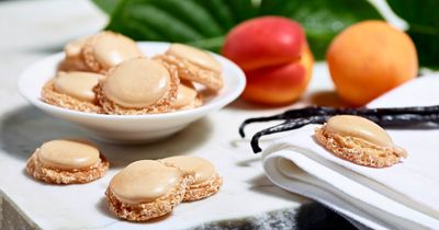 Maison Bruyère - Macarons met abrikoos en vanillesmaak