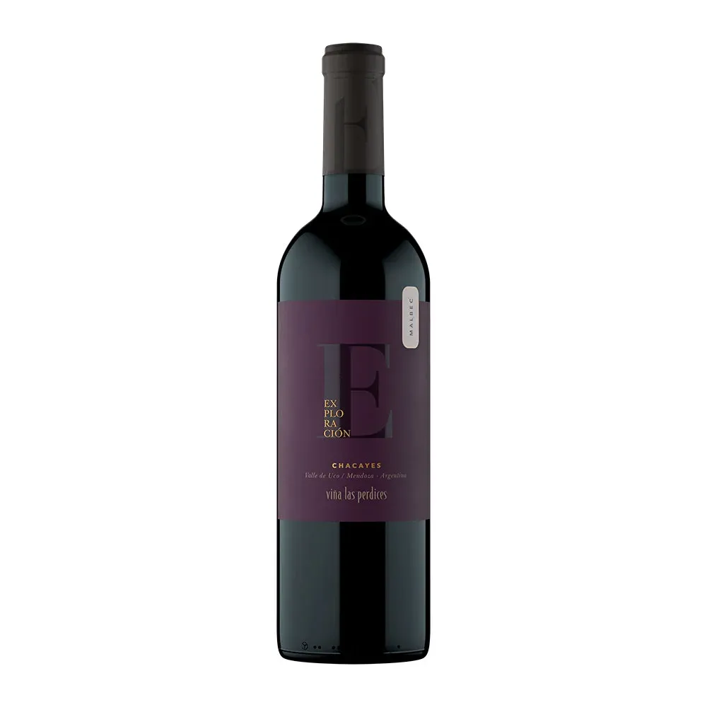 Chacayes Malbec