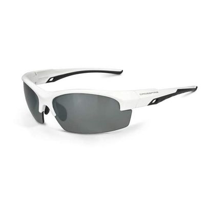 Polarized Lens