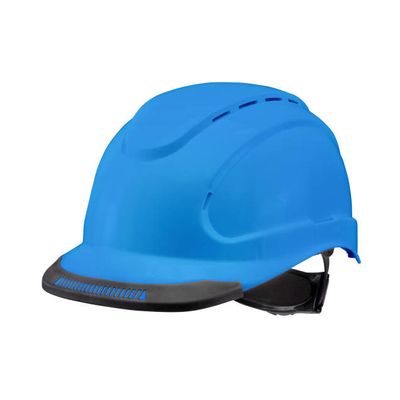 HEAD PROTECTION