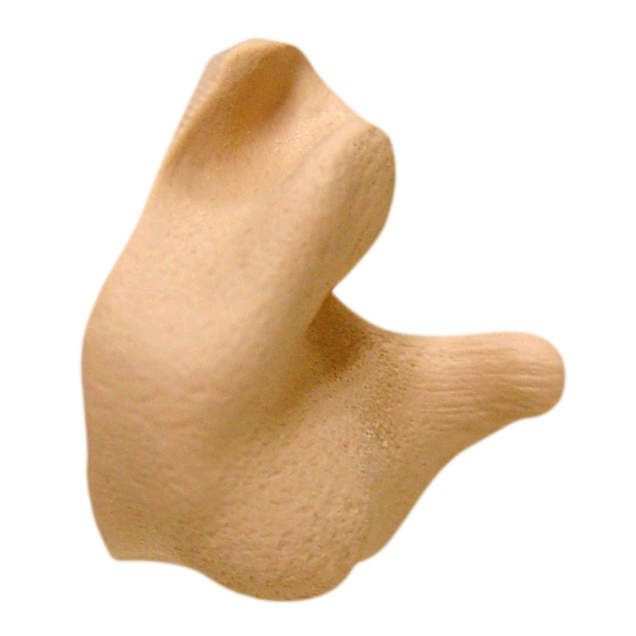 Custom Molded Earplugs, tan (#CEP001-T)