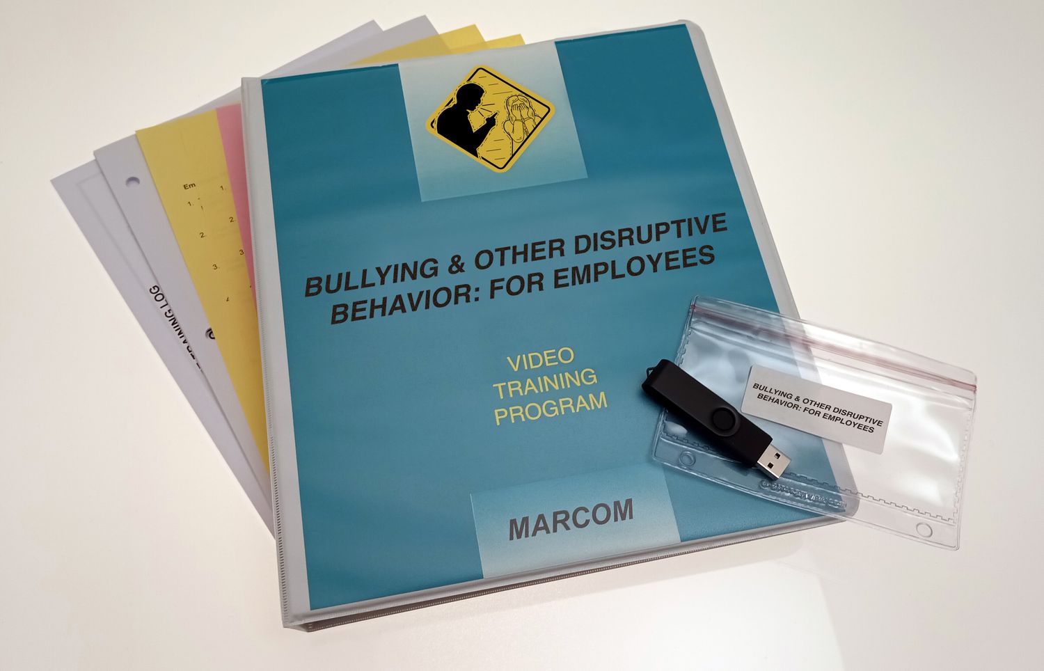 Bullying and Other Disruptive Behavior: for Employees DVD Program on USB (#V000266UEM)