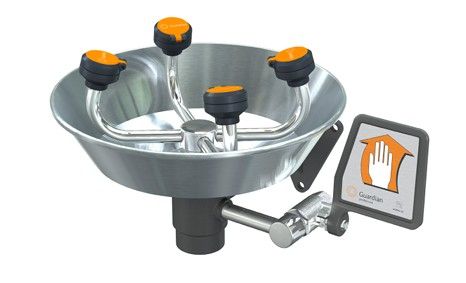 Guardian WideArea Eye/Face Wash, Wall Mounted, Stainless Steel Bowl (#G1724)