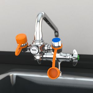 Guardian EyeSafe Faucet-Mounted Eyewash (#G1100)