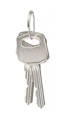 STOPOUT® Master Key for Anodized Aluminum Padlocks (#KDL609) STOPOUT® Master Key for Anodized Aluminum Padlocks (#KDL609)