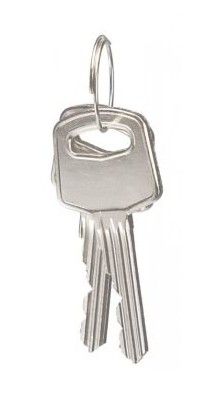 STOPOUT® Master Key for Compact Anodized Aluminum Padlocks (KDL429) STOPOUT® Master Key for Compact Anodized Aluminum Padlocks (KDL429)