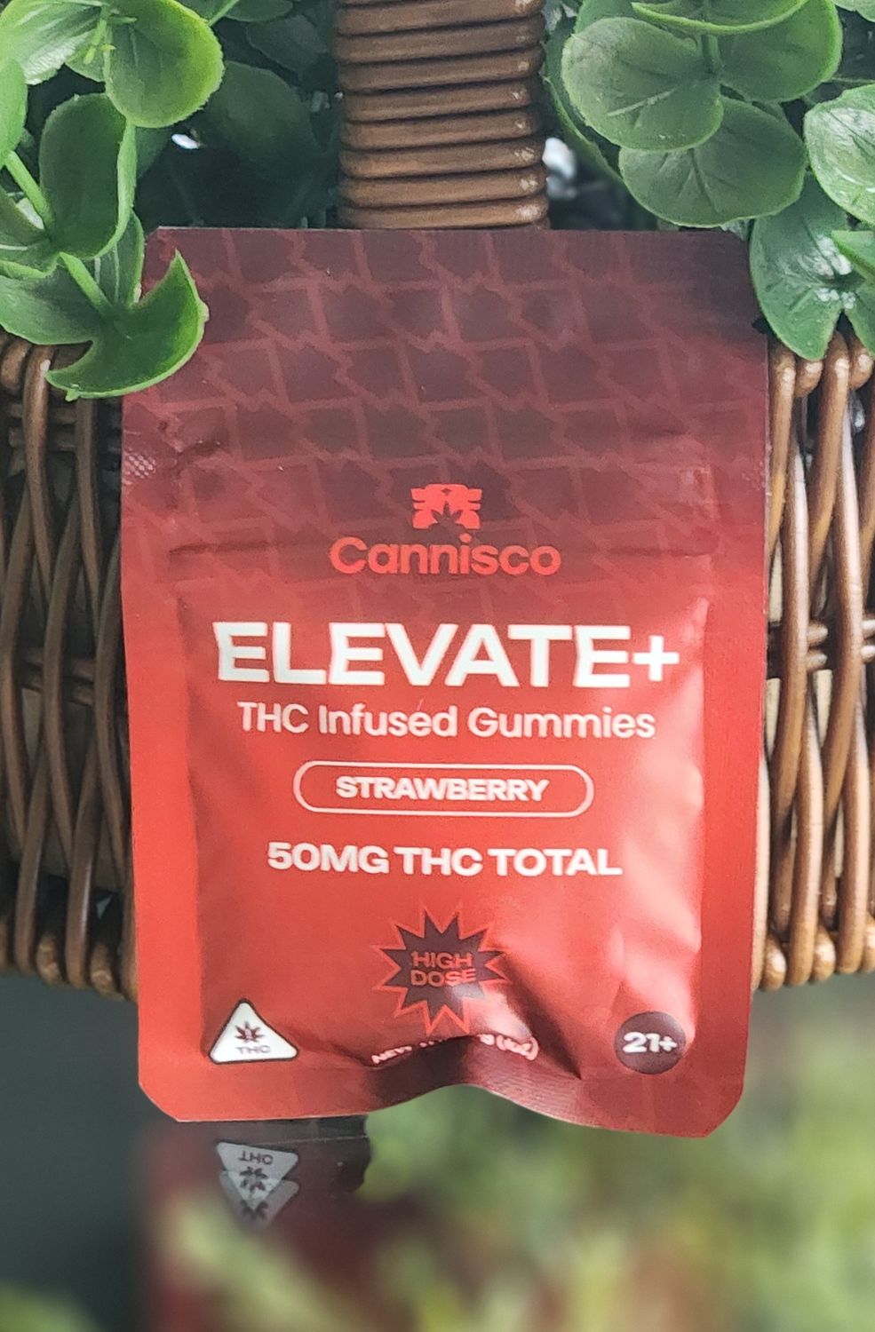 Elevate + 2 pk Strawberry