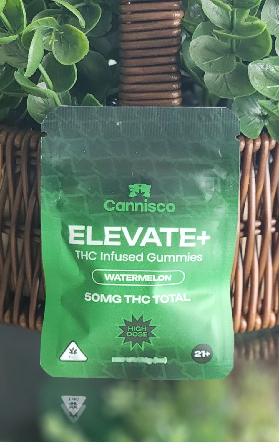 Elevate + 2 pk Watermelon