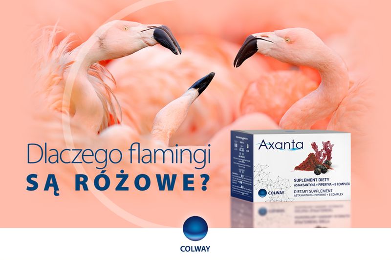 COLWAY AXANTA 60 szt
