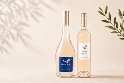 Nos Vins
