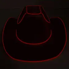 Party Hat Neon Light Up Cowboy Hat Blue and Purple