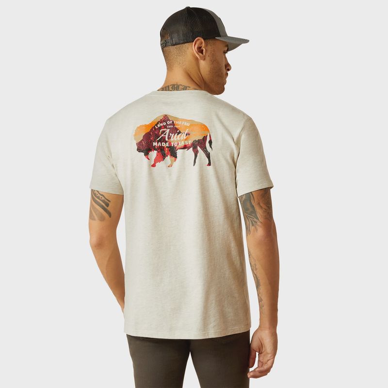 Ariat Menws Bison Landscape Oatmeal Heather T-Shirt