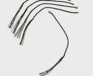 Accessories - Whip