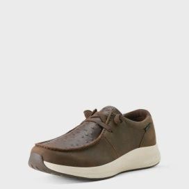 Ariat Mens Buckeye H20 Dark Brown Hilo