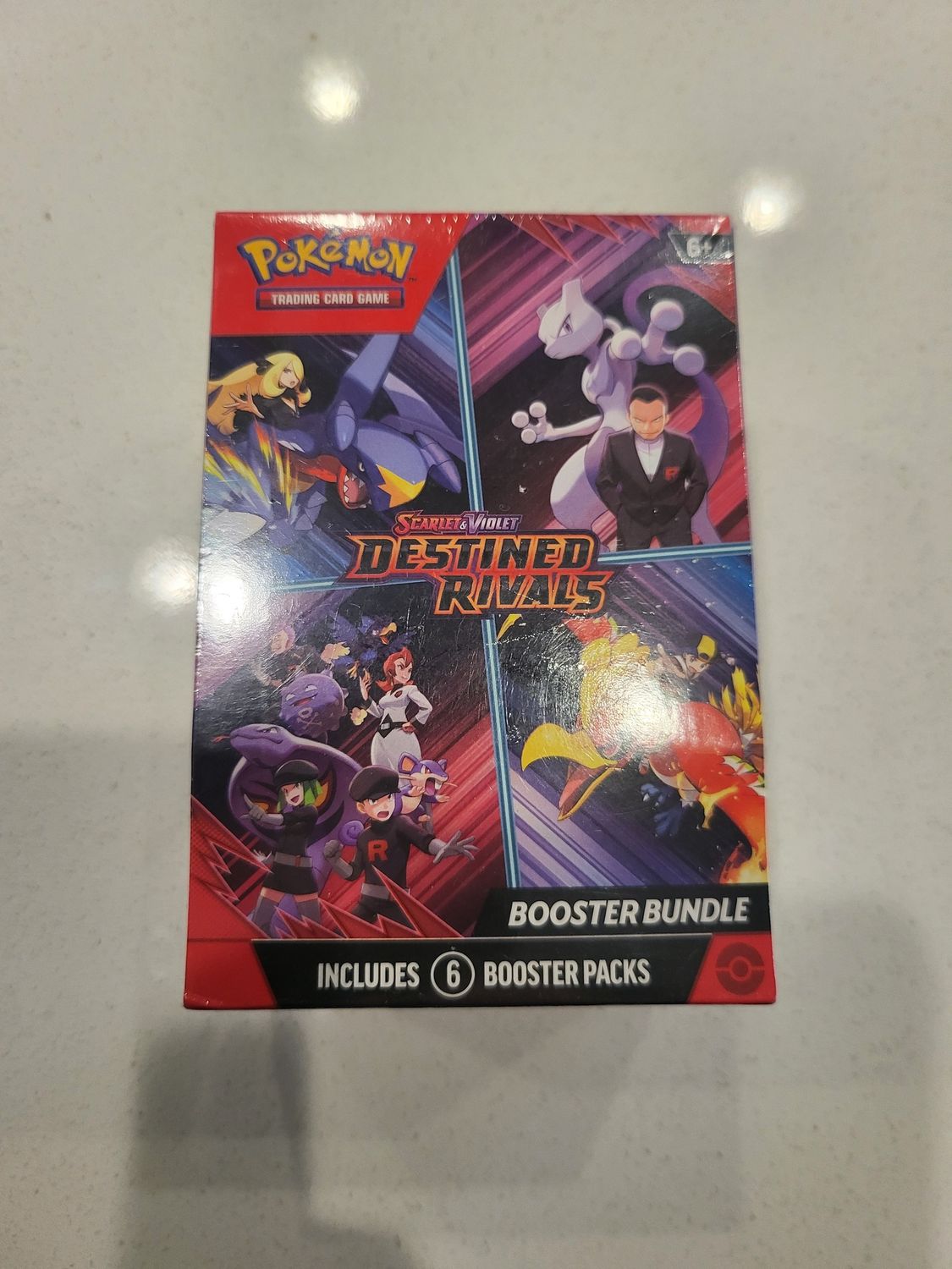 PKM Destined Rival BUN