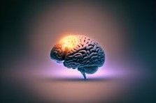 Before we work on artificial intelligence why don’t we do something about natural stupidity? Before we work on artificial intelligence why don’t we do something about natural stupidity?