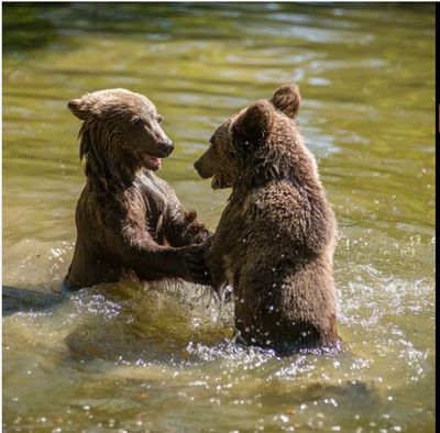 I am the happiest me when I'm with you.