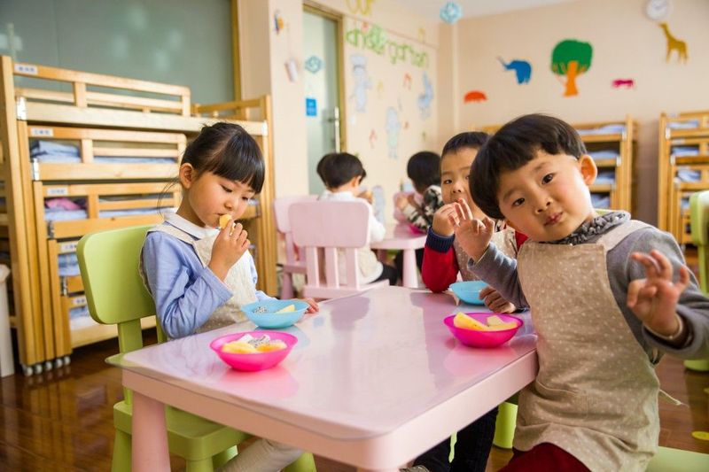 The child has a mind able to absorb knowledge. He has the power to teach himself.