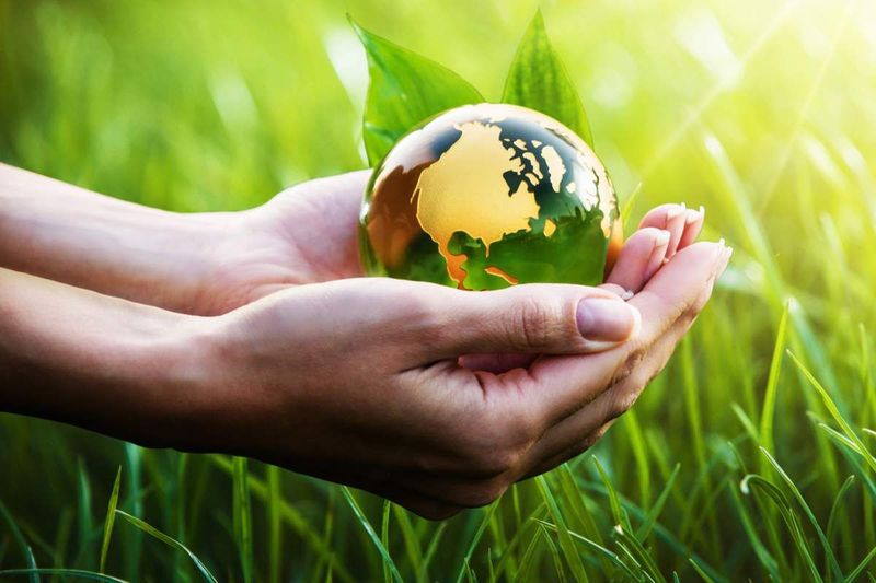 L’humanité guérira le jour où elle comprendra la supériorité du verbe être sur le verbe avoir.