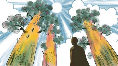 The vision of the teacher should be at once precise like that of the scientist, and spiritual like that of the saint.