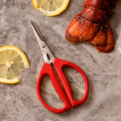 Joyce Chen Kitchen Scissors