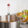 Basic Candy and Deep Fry Thermometer