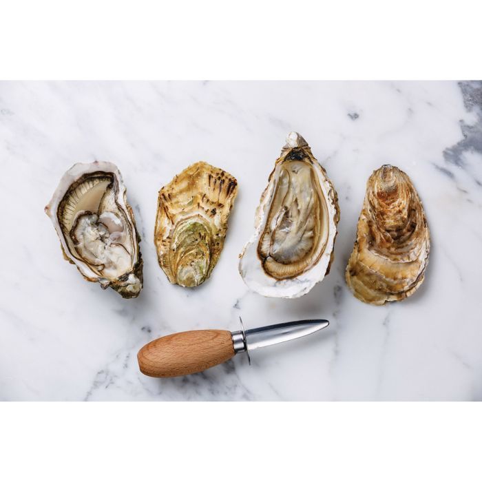 HIC Oyster Knife