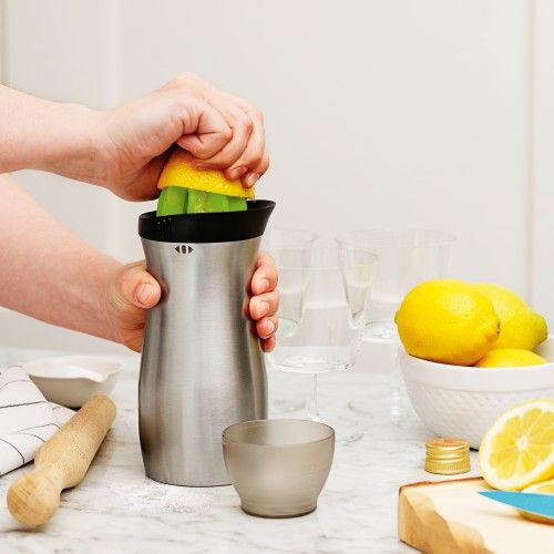 Stainless Cocktail Shaker