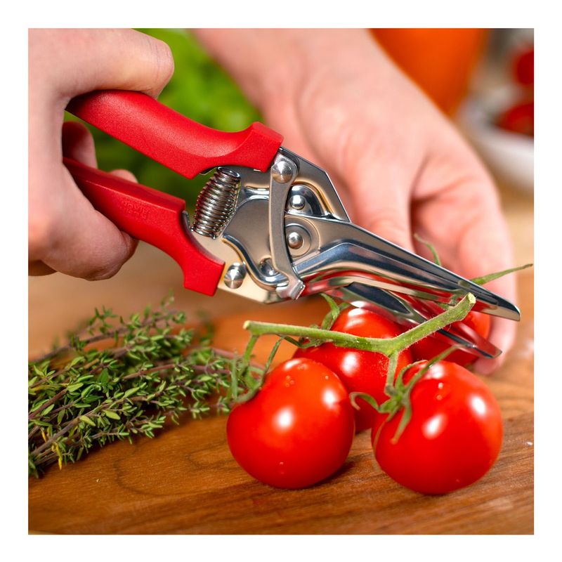 Classic Red Snips