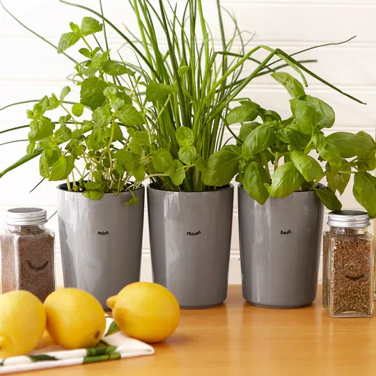 Round Spice Labels