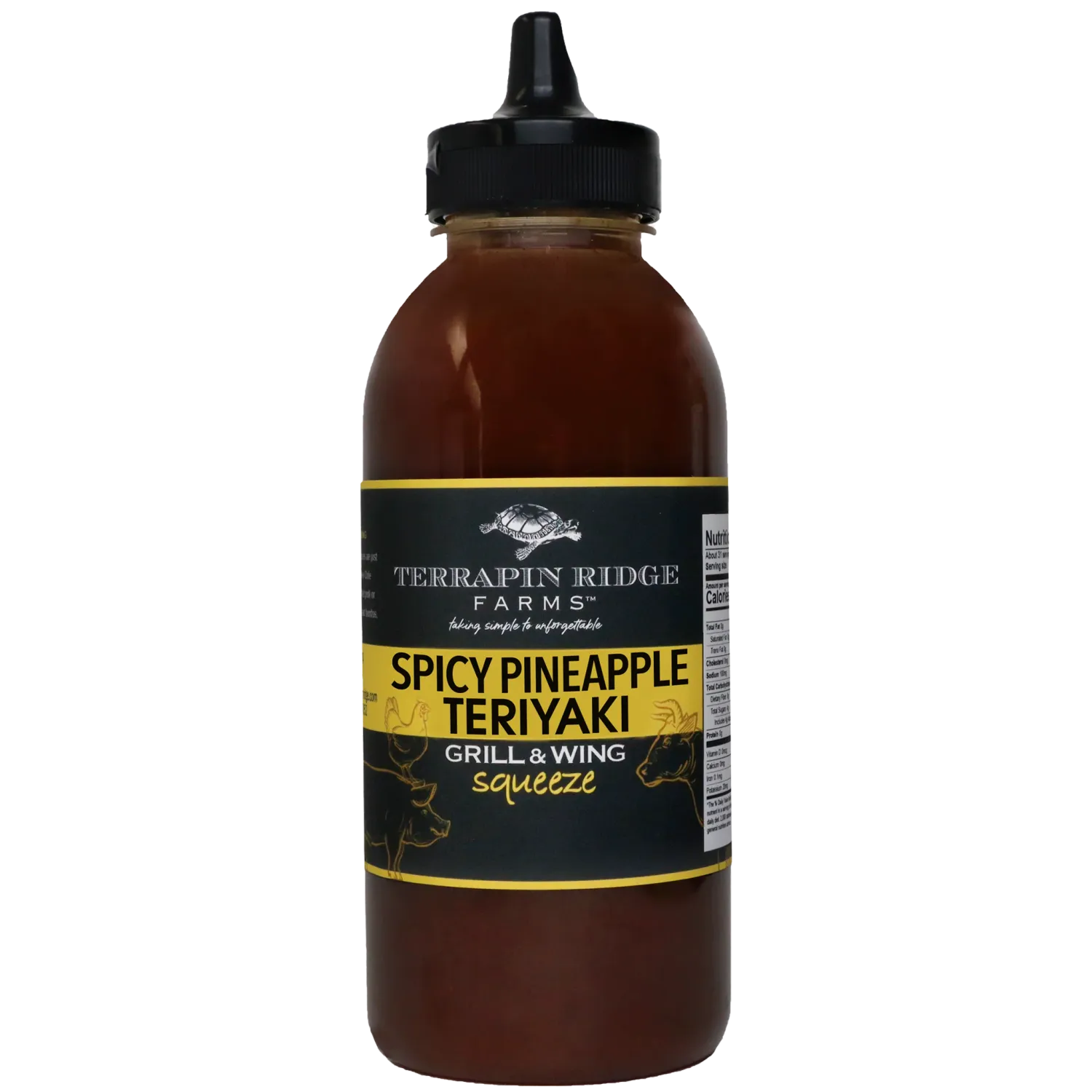 Spicy Pineapple Teriyaki Squeeze