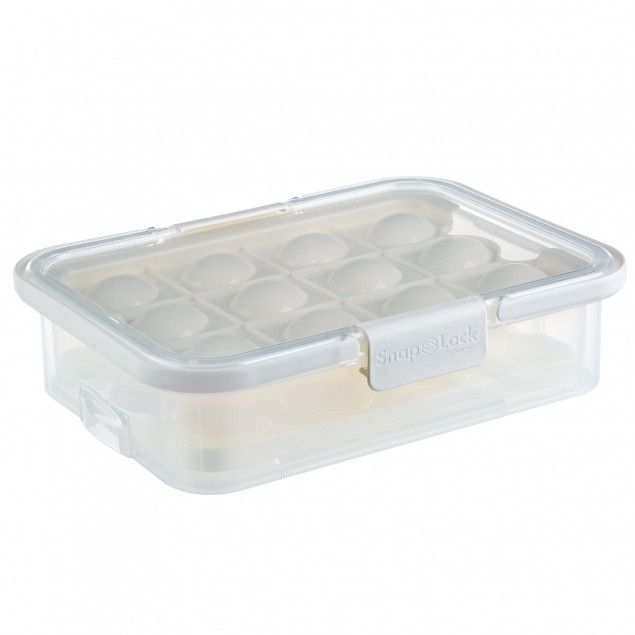 Collapsible Egg Carrier