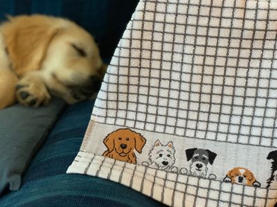 Poli Dri Tea Towel Dog